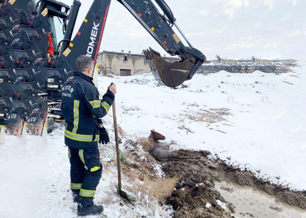 Şehir magandası suç makinası çıktı, Kırmızı ışık cezası, Kayseri OSB İtfaiyesi Bataklığa Saplanan Yılkı Atını Kurtardı,