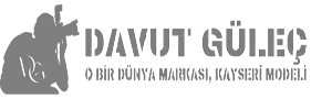 Davut GÜLEÇ