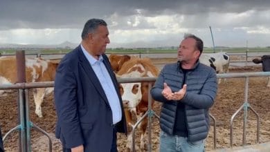 Gürer: “Üretici, çiftçi, besici icralık. esi damları da icradan satışta. thalatı bitireceğiz’ dediler, ülke hayvancılığını tüketiyorlar”