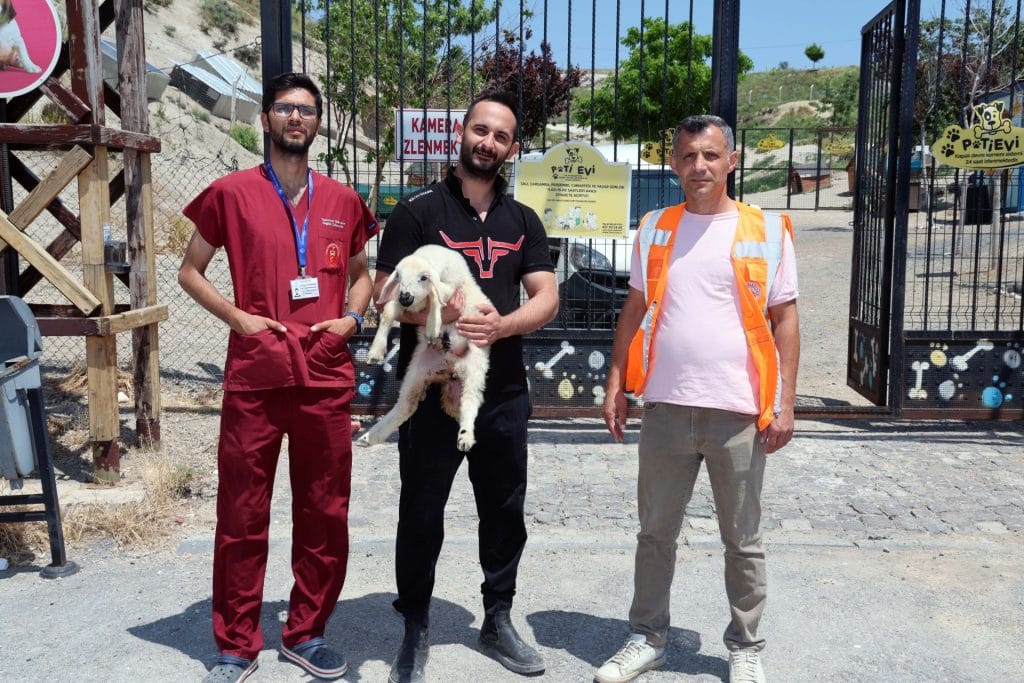 Talas’ta babalar günü konseri, Kayıp bir koyun sürüsü ve kuzuları teslim edildi, Melikgazi’de 340 dairenin teslimi ve kura töreni,