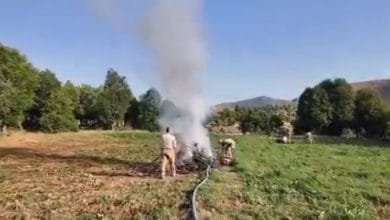 Jandarma, 4.4 milyon Kök Kenevir ve Skunk ile 150 kg esrar ele geçirdi, Hırsızlıktan 13 yıla hükümlü yakalandı, Trafikten okul öncesi çocuklara eğitim