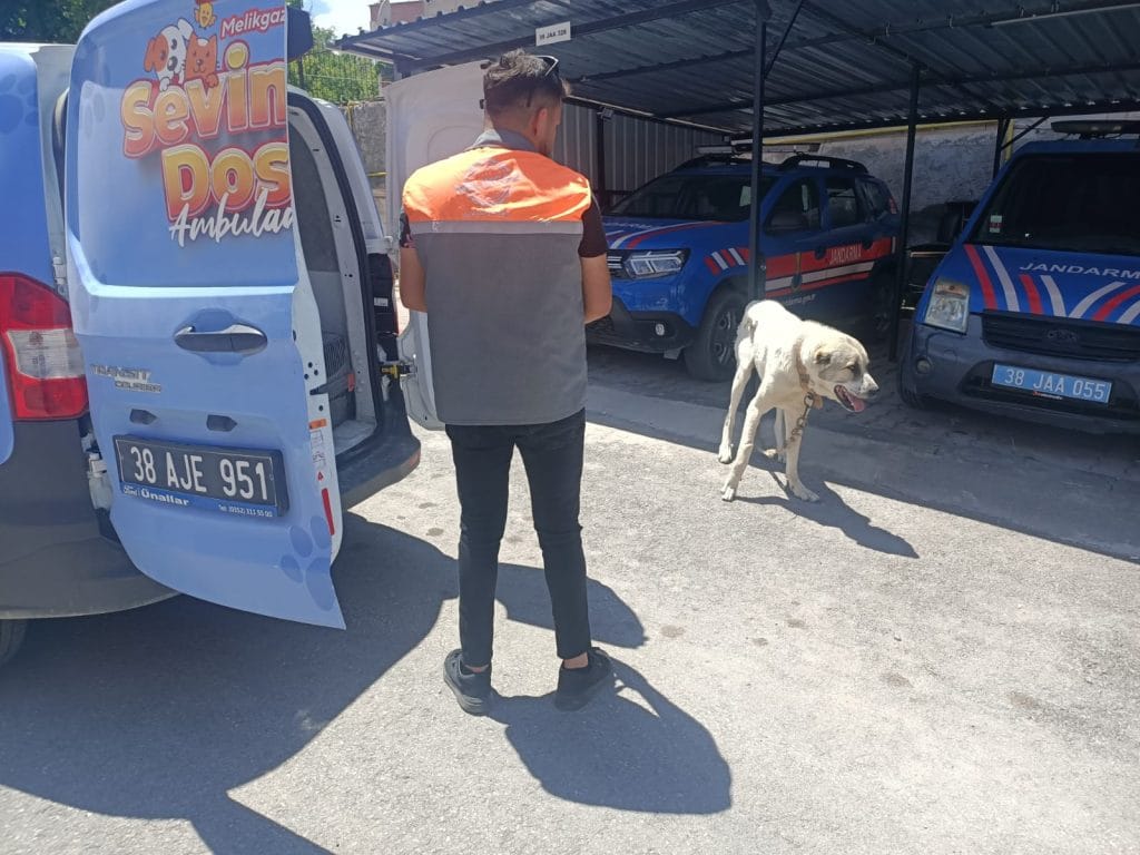 Köpeğe bağlayarak otomobili çektirene ceza, Cinayetten hükümlü aranan yakalandı