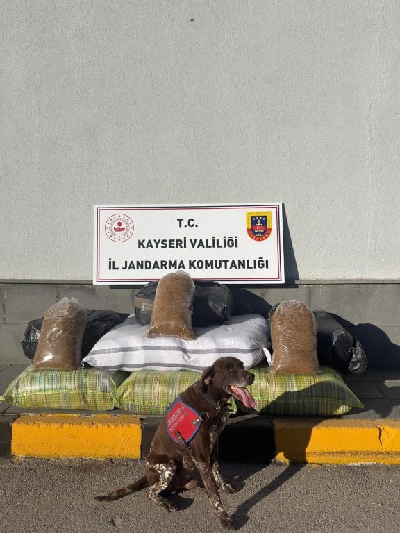 Kaçak alkol, silah, mermi, Abartı egzoz, drift, makas atma, yüksek ses müzik uygulaması, çay, tütün operasyonu, Fetöden hükümlü ihraç polis yakalandı, bir intihar mı?