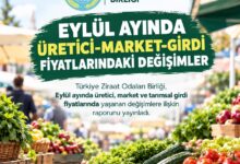 Eylül ayında üretici market ile girdi fiyatlarında yaşanan değişimler