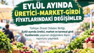 Eylül ayında üretici market ile girdi fiyatlarında yaşanan değişimler