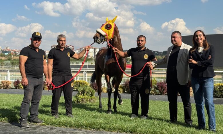 100. Gazi şampiyonu
