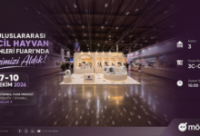 Evcil Hayvan Bakımında Yeni İhtiyaçlar Akıllı Teknolojileri Şekillendiriyor