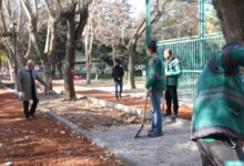 Develi ulaşım yatırımı, Tıp Fakültesi Öğrencileriyle Buluşma, yaşam alanı, Gürpınar yeşiline estetik katkı,