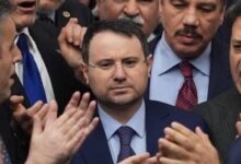 Yasa dışı üreme ticaretine karşı Türkiye dahil 4 ülke, 14 ilde operasyon, 53 gözaltı kararı
