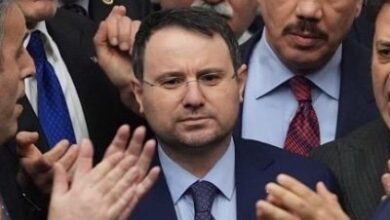 Yasa dışı üreme ticaretine karşı Türkiye dahil 4 ülke, 14 ilde operasyon, 53 gözaltı kararı
